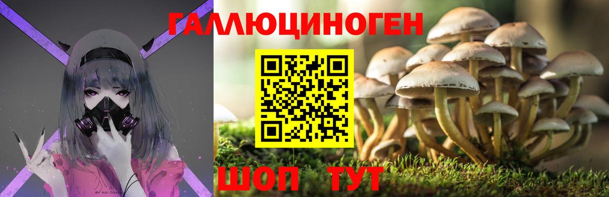 Сибай  хочу наркоту  Вход с VPN  Галлюциногенные грибы GOLDEN TEACHER 